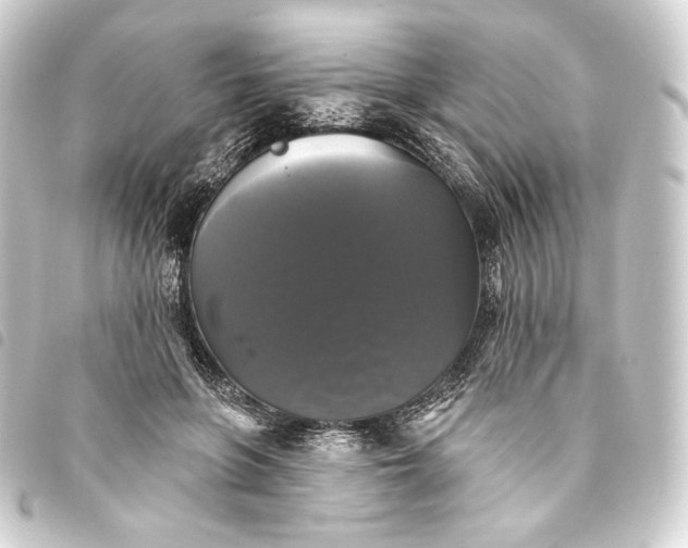 X0000093740551200710301107