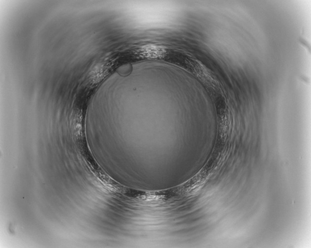 X0000093740553200710301107