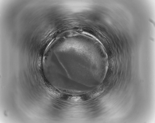 X0000093740554200710301107