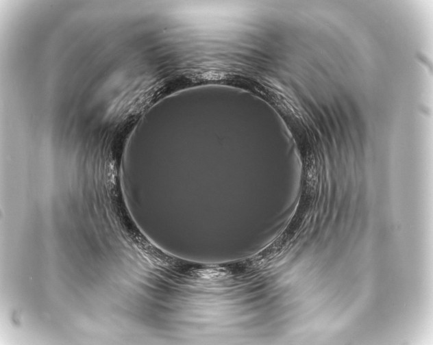 X0000093740555200710301107