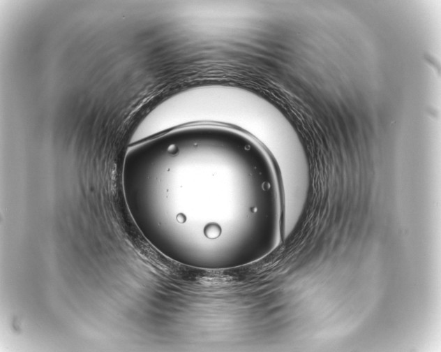 X0000093740556200710301107