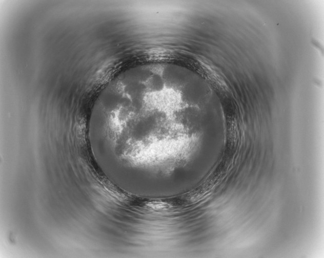 X0000093740557200710301107