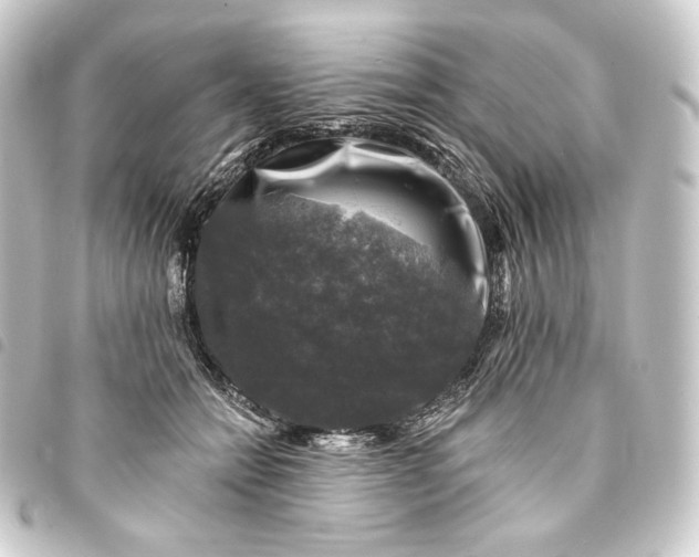 X0000093740558200710301107