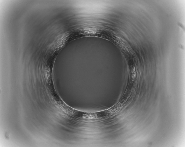 X0000093740559200710301107