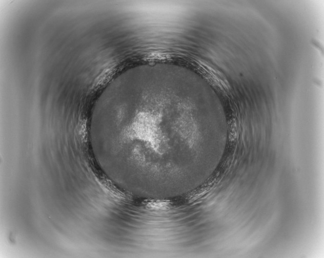 X0000093740560200710301107