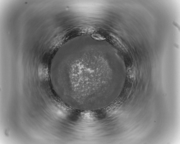 X0000093740564200710301107