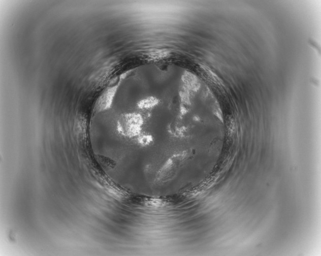 X0000093740565200710301107