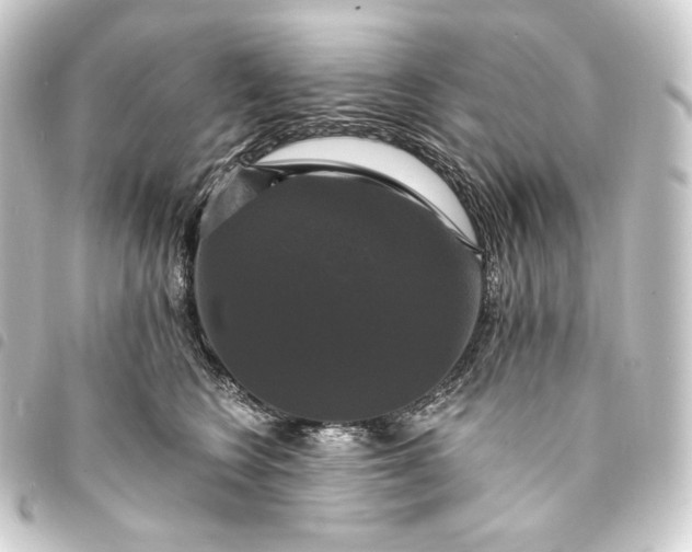 X0000093740566200710301107