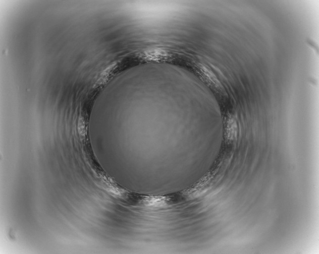 X0000093740569200710301107