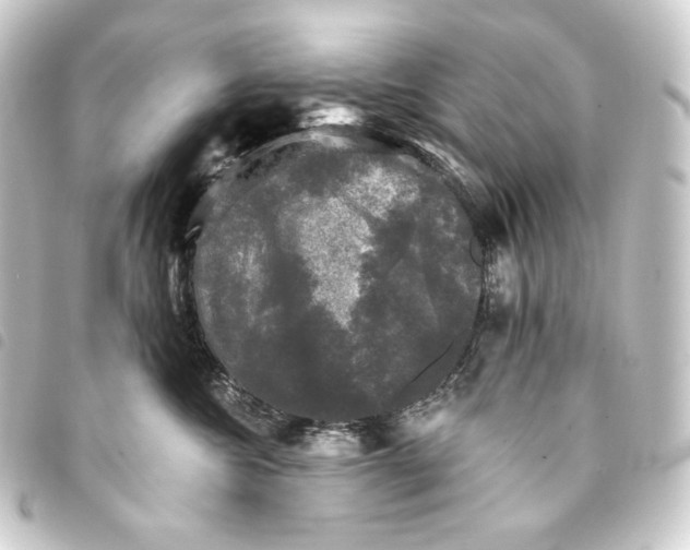 X0000093740572200710301107