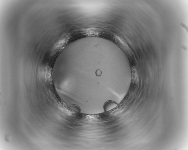 X0000093740573200710301107