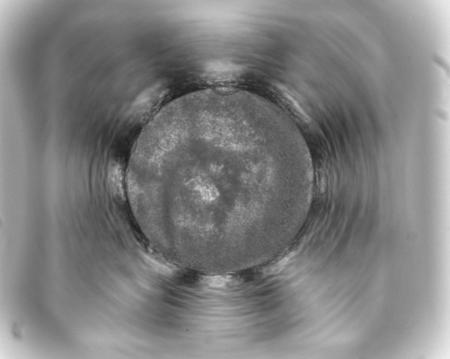 X0000093740575200710301107