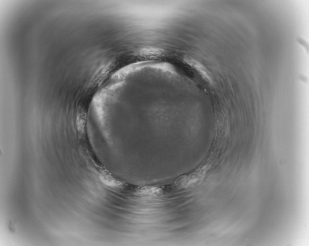 X0000093740576200710301107