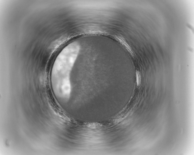 X0000093740579200710301106