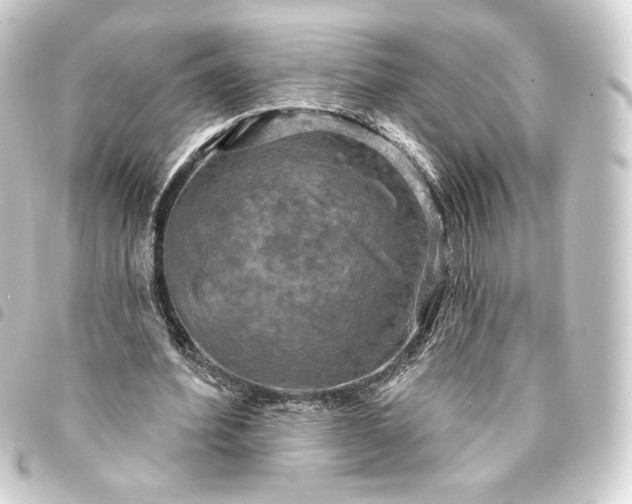 X0000093740580200710301106