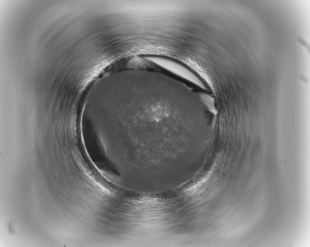 X0000093740581200710301106