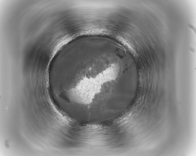 X0000093740582200710301106