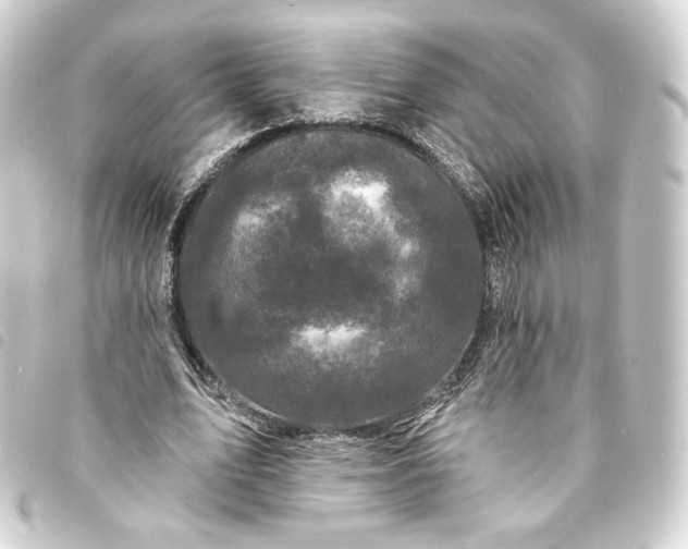 X0000093740583200710301106