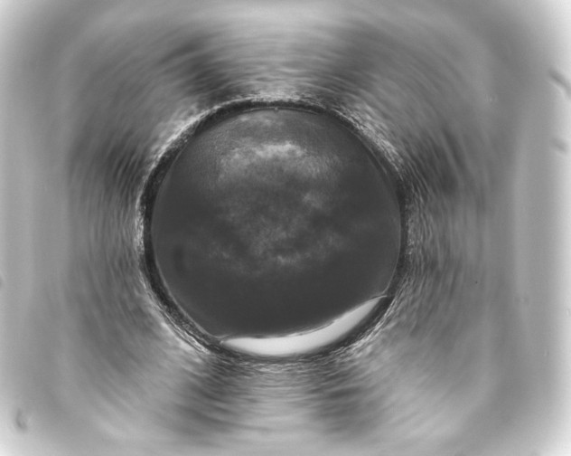 X0000093740584200710301106