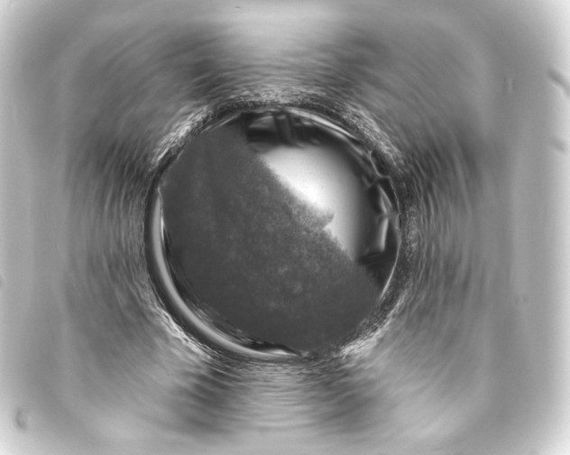 X0000093740585200710301106