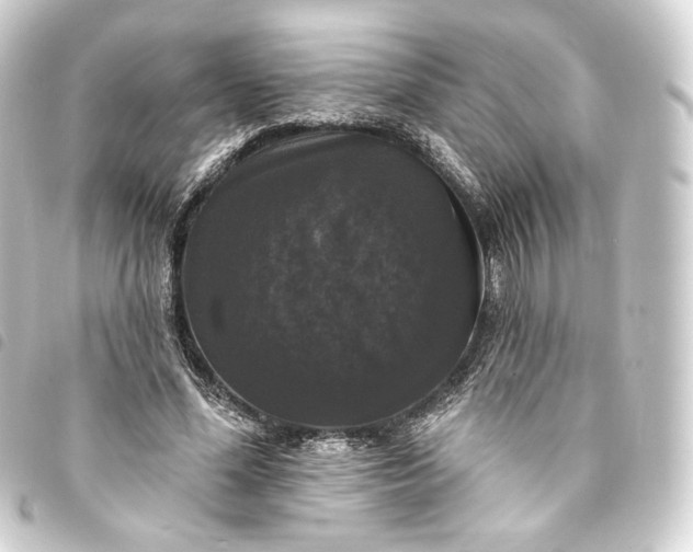 X0000093740588200710301106