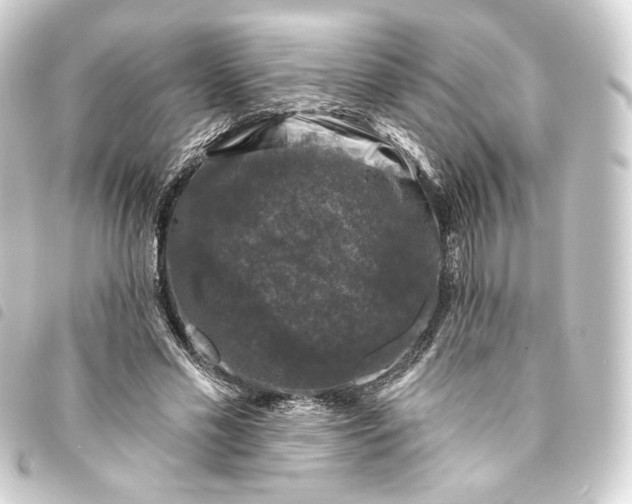 X0000093740589200710301106