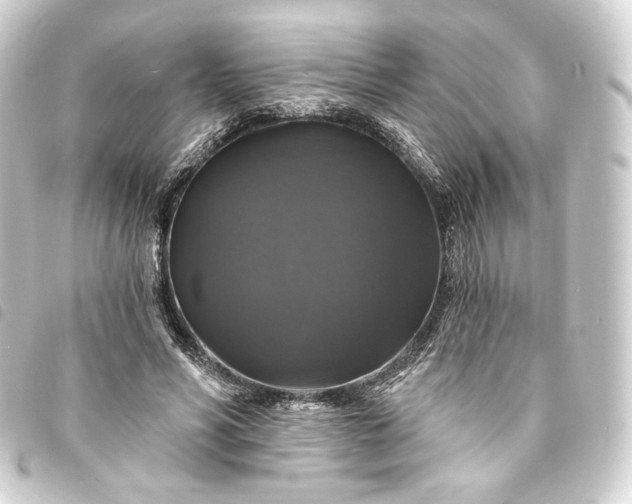 X0000093740590200710301106