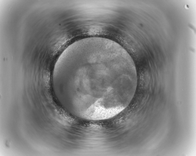 X0000093740592200710301106