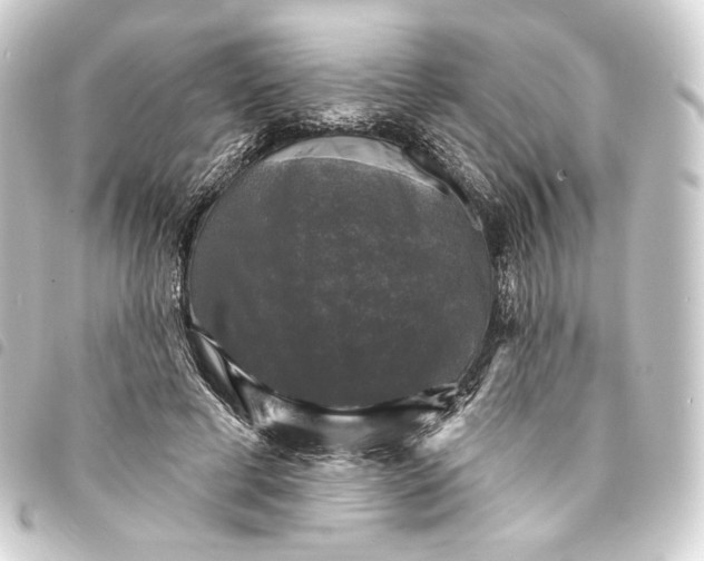 X0000093740593200710301106