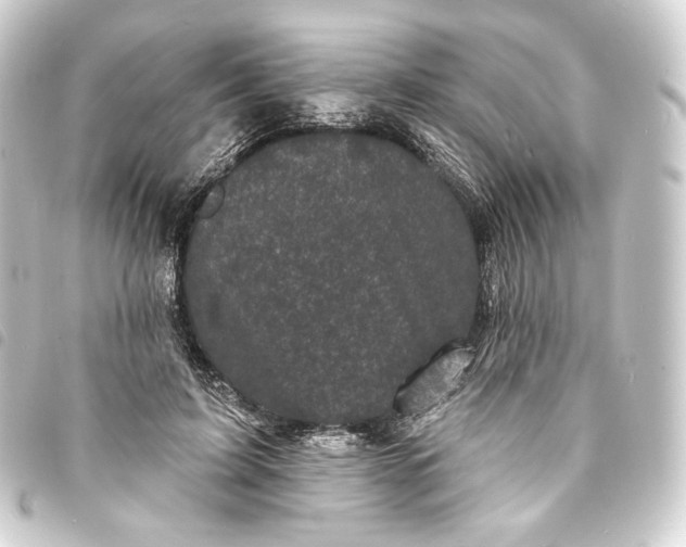 X0000093740595200710301106