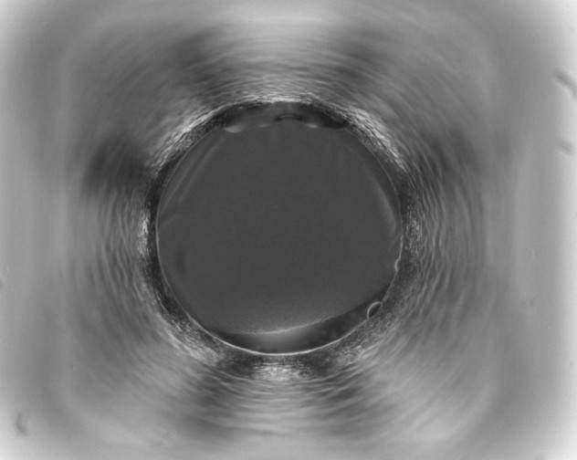 X0000093740596200710301106