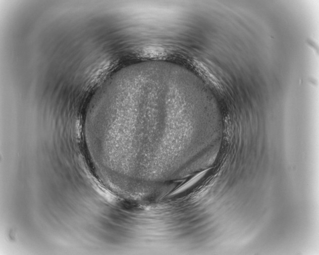 X0000093740597200710301106