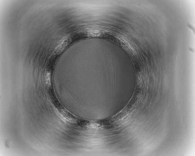 X0000093740598200710301106