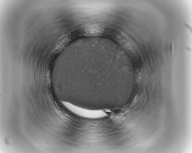 X0000093740599200710301106