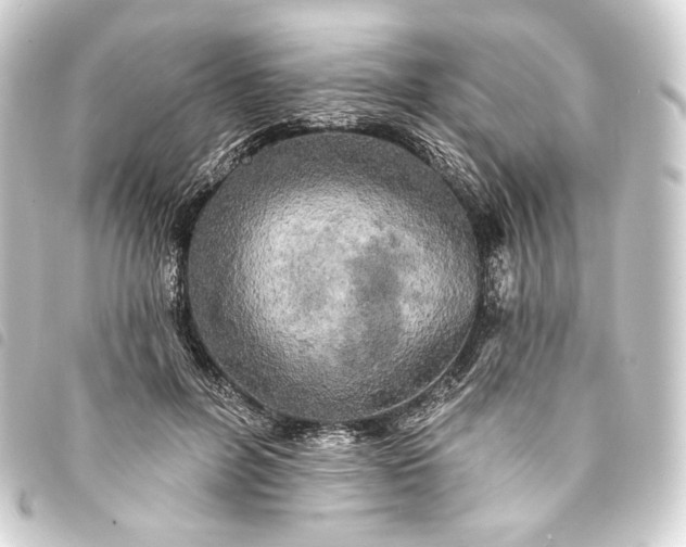 X0000093740600200710301106