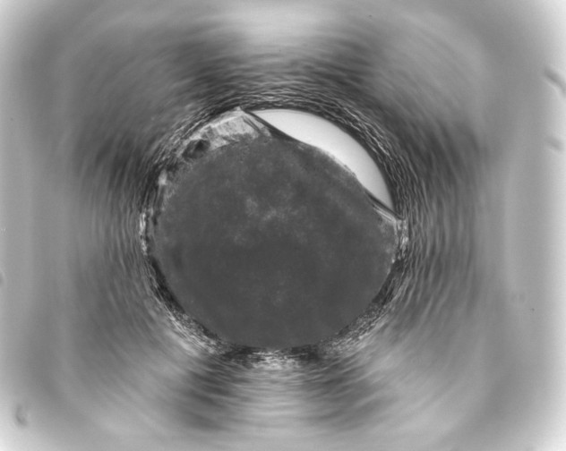 X0000093740601200710301106