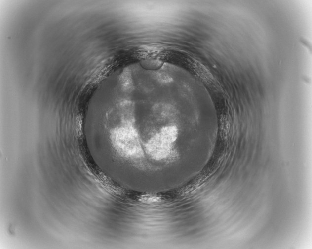 X0000093740602200710301106