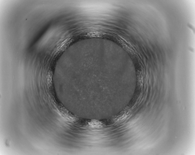 X0000093740603200710301106