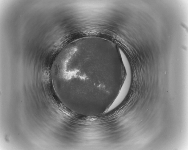 X0000093740604200710301106