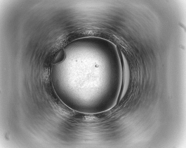 X0000093740605200710301106