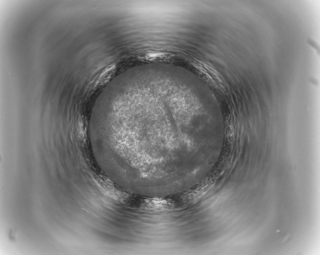 X0000093740607200710301106