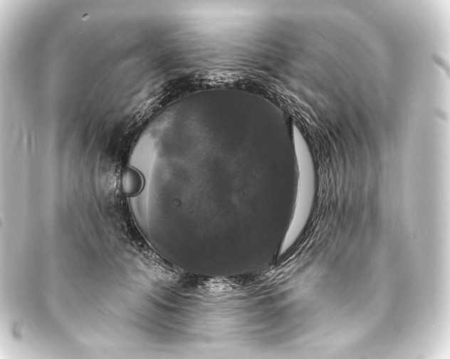 X0000093740608200710301106