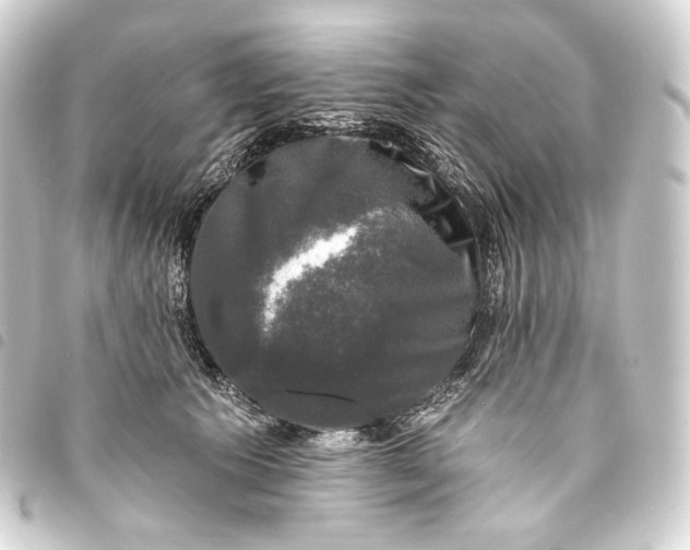 X0000093740609200710301106