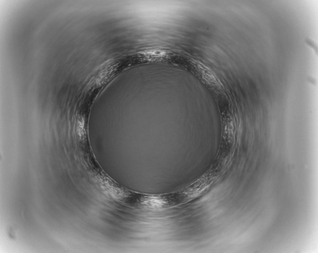 X0000093740610200710301106