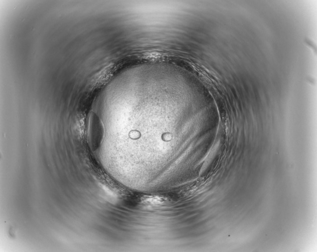 X0000093740611200710301106