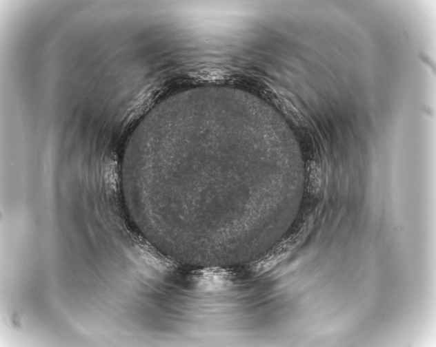 X0000093740612200710301106