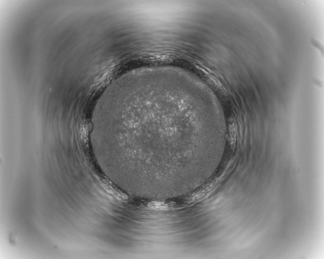 X0000093740613200710301106