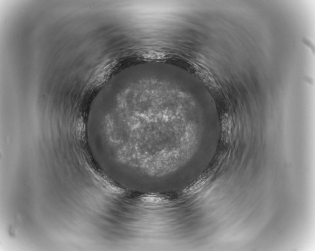 X0000093740614200710301106