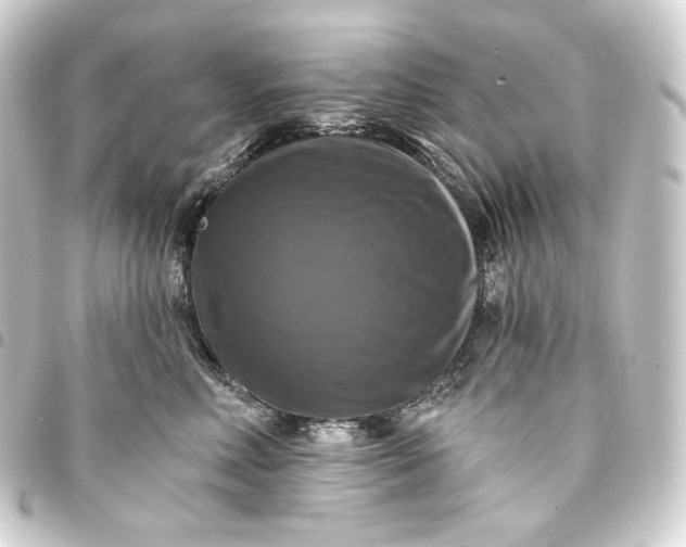 X0000093740618200710301106