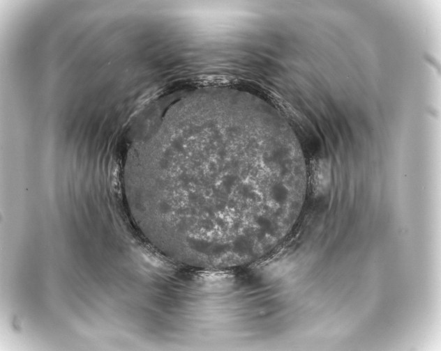 X0000093740619200710301106